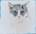 Neonilla Medvedeva - Cat (6 from 10) - 2009 - oil on canvas - 17 x 18