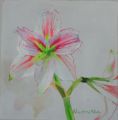 Neonilla Medvedeva - Amarilis 1 - 2010 - oil on canvas - 25 x 25